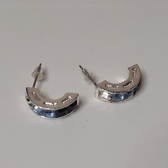 Multi Toned Blue Earrings - Picture 3 of 9